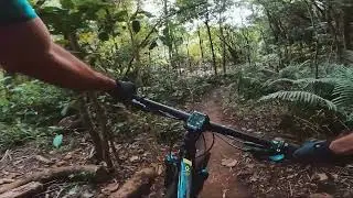 Uma volta no Cemucam!