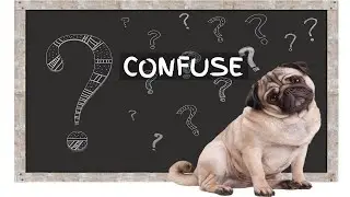 Sound To Confuse Dogs