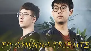 FY  AND  Somnus丶M. DOTA 2  TRIBUTE| DOTA 2 MICRO