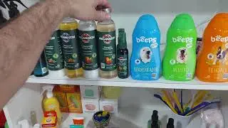 Invadi a loja e vendi tudo hoje - Raro Pets