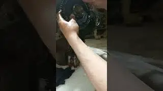 Ошибка установки контровочной планки распредвала и установка промежуточной шестерни