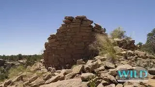 Intro To Bears Ears By Wild