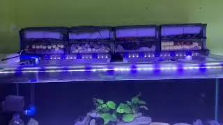 Jix trickle Filter F120 to 4ft tank set up