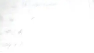 Слова Зибонского языка (часть 1)