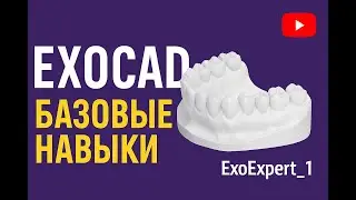 Exocad DentalCAD Training: Beginner Lesson and Basic Skills