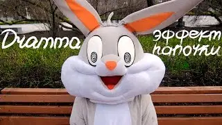 DRAMMA - Эффект папочки [MINI VIDEO ALBUM]