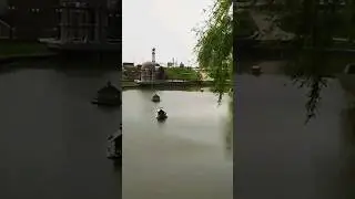 Релакс!