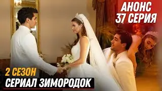 АНОНС! 2 СЕЗОН Турецкий сериал Зимородок 37 (119) серия русская озвучка