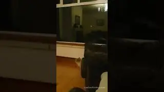 Bandit does a boink