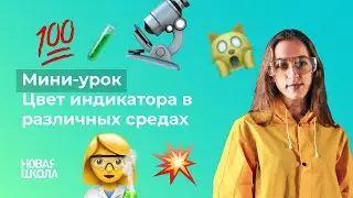 НШ | Химия. Цвет индикатора в различных средах
