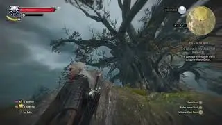 Witcher 3 Wild Hunt Episode  20 On Ciri's Trail   Facing the Crones