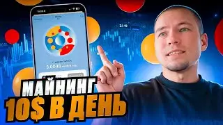 Switch. Майним монеты в телеграм. PocketFi