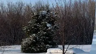 Кыз баланың күз яшеннән саклан!18 бүлек.
