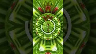 20 Second Breathing Challenge
