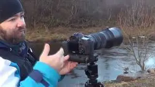 The Sigma large Telephoto Zoom lenses battle (120-300,150-600,300-800)