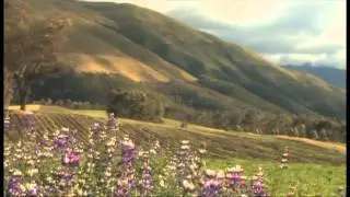 Video sobre quinua (FAOEC)
