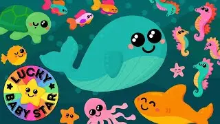 🐳 Colourful Under the Sea Adventure for Toddlers & Babies 🐡