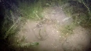 The best of raczki - jezioro Hańcza