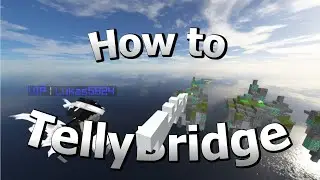 How to TellyBridge | HANDCAM | TellyBridge Tutorial