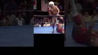 RIC FLAIR - FIGURE 4 LEG LOCK 