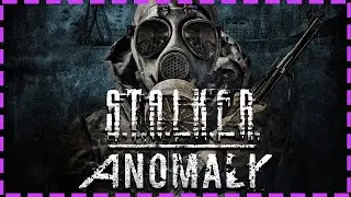 STALKER Anomaly + Provak 2.4 + Agressor ReShade + HD Textures