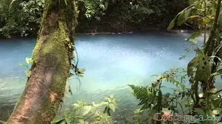 Rio Celeste Tour