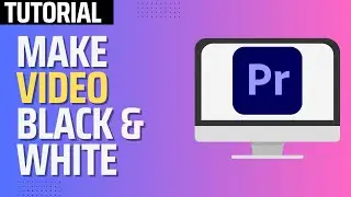 How To Make Black And White Video in Premiere Pro (2024 Tutorial)