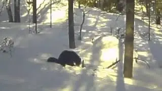 9 апреля 2021 г.
