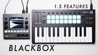 Blackbox 1.3 Features
