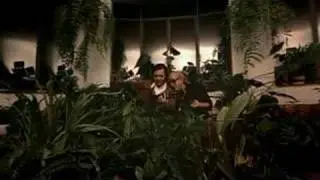 Pela luz dos olhos teus - Tom e Vinícius