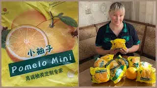 Mini Pomelo. Identifying the variety 😉 Pomelo mini.