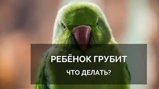 Ребенок грубит. Что делать?