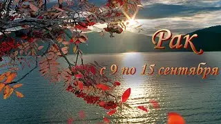 Рак Таро прогноз на неделю с 9 по 15 сентября 2024 года.