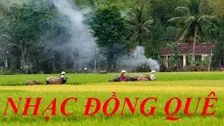 ✅ Nhạc đồng quê l Nhạc không lời l Hòa tấu guitar l Play list 26