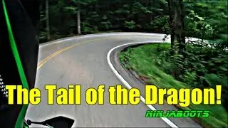 The Tail of the Dragon!