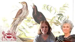 Women, Environment and Networks of Empire | Victoria Dickenson and Anna Winterbottom