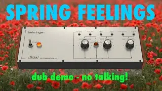 Behringer SPRING Reverb & Friends -  demo no talking!