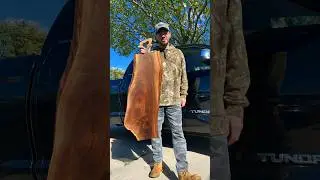 Fun Woodworking Fact… #shorts #diy