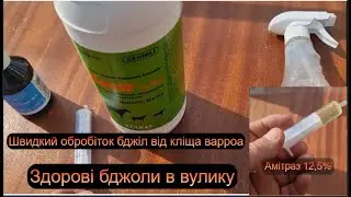 Швидкий обробіток бджіл від кліща варроа, або здорові бджоли в зиму