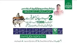 How to Apply for CM Punjab Free Cow & Buffalo Farming Scheme| Asset Transfer App