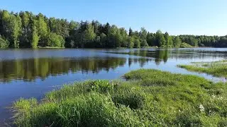 Вечерняя рыбалка на фидер и маховое удилище KAIDA. Ловим плотву, густеру, а карась клевать не хочет.