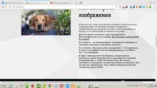 курс :Заработок на чужих изображениях от Рамиля Сагатдинова
