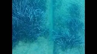 Strange underwater groove in Kithnos beach