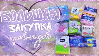 🌟БОЛЬШАЯ ЗАКУПКА ПРОКЛАДОК и не только🌟
