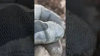 вот это поворот