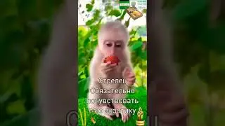 Откровенное видео , то есть видео без одежды , которое смогут смотреть дети ! /CM в комментариях/ !?