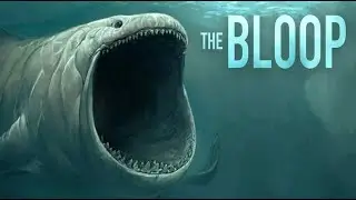 What was THE BLOOP?