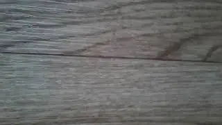ПОЛ