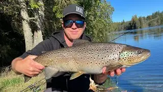 En herlig dagstur i elva! - Ny PB i elv på Ole!