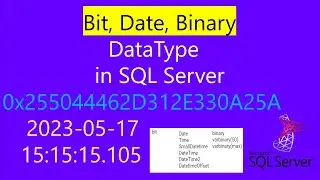 Datatype | bit datatype in sql | date datatype in sql | time datatype in sql | boolean data type